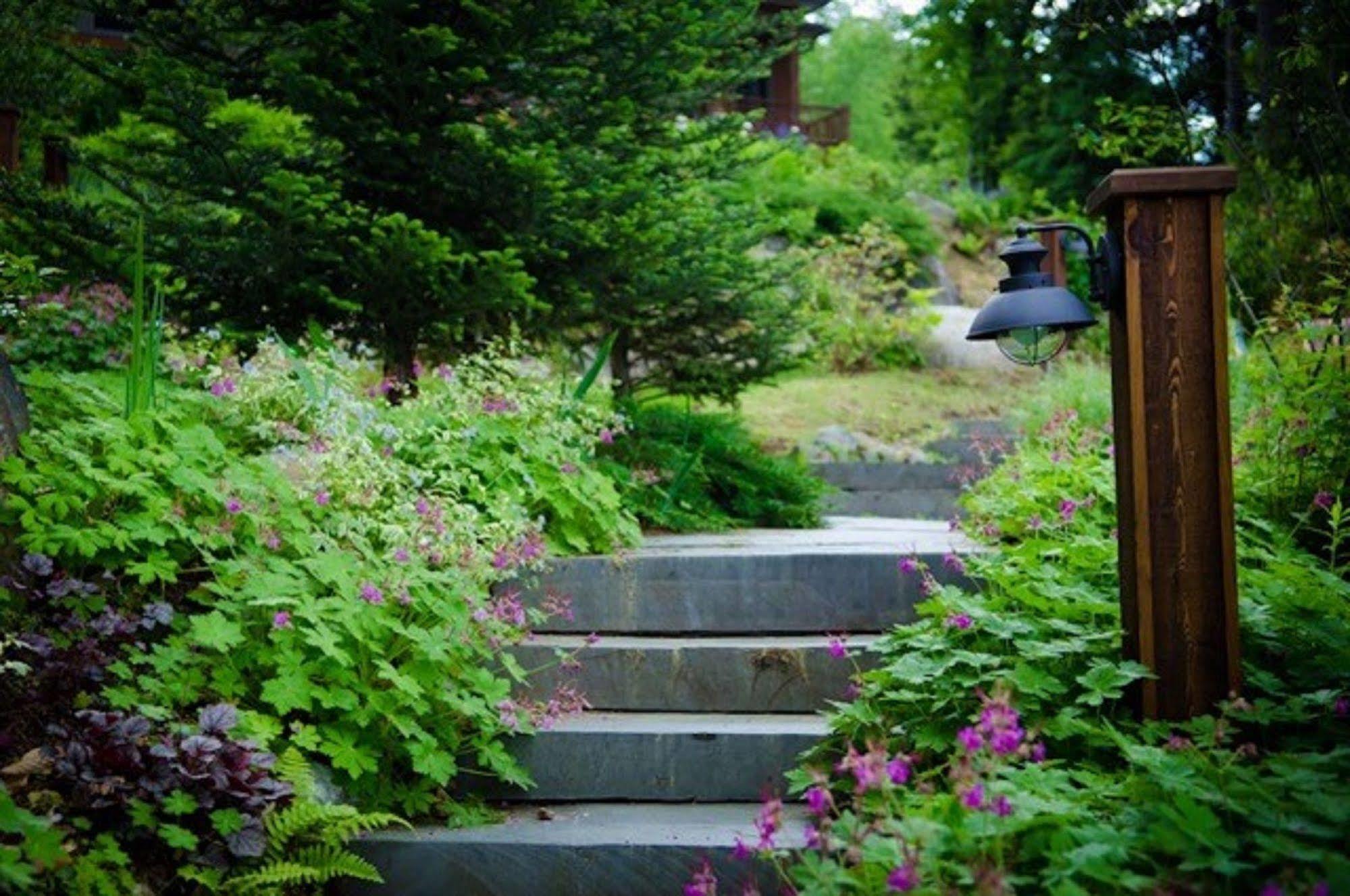 The Fern Lodge Chestertown Exterior foto